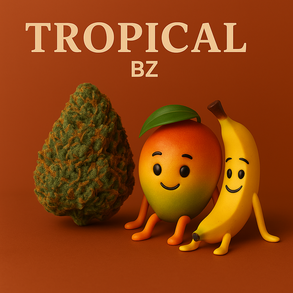 Tropical BZ