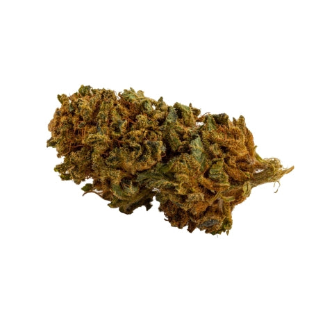 MANGO Small Bud CBD