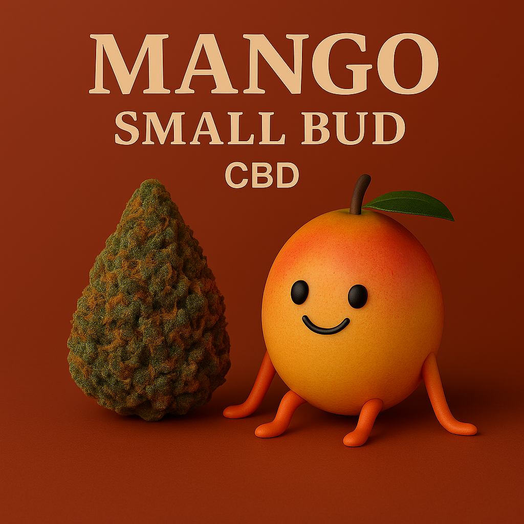 MANGO Small Bud CBD